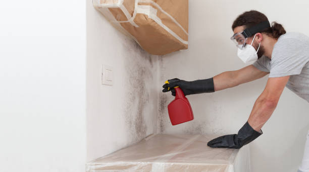 Professional Bathroom Mold Removal technician working in Imler, PA